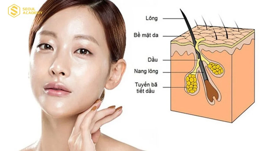 Chăm sóc làn da dầu mụn luôn ưu tiên làm sạch là bước quan trọng hàng đầu