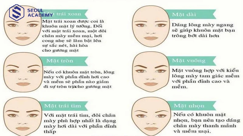 Xác định cấu trúc khuôn mặt để chọn dáng mày thích hợp