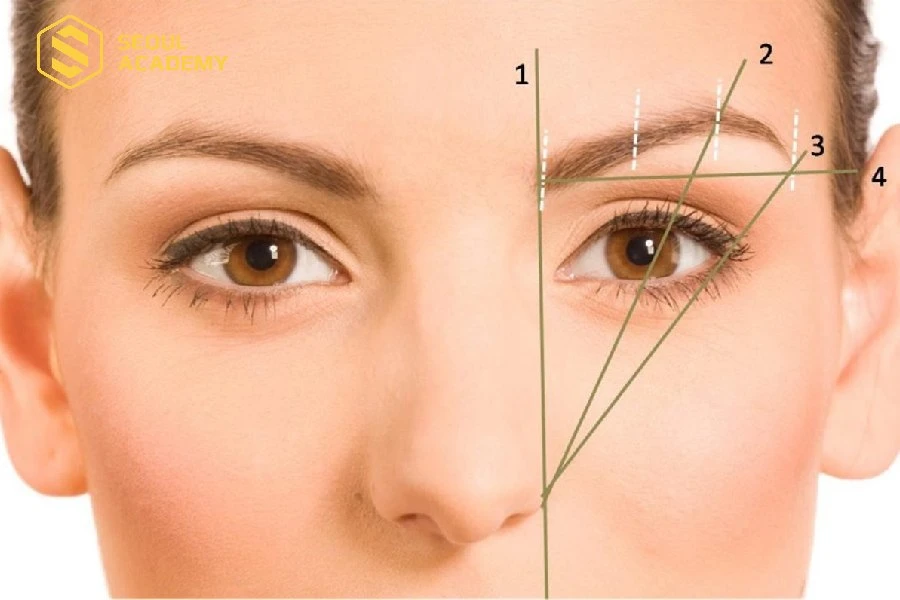 Xác định những điểm quan trọng trên chân mày để tạo dáng chân mày ngang hài hòa với khuôn mặt