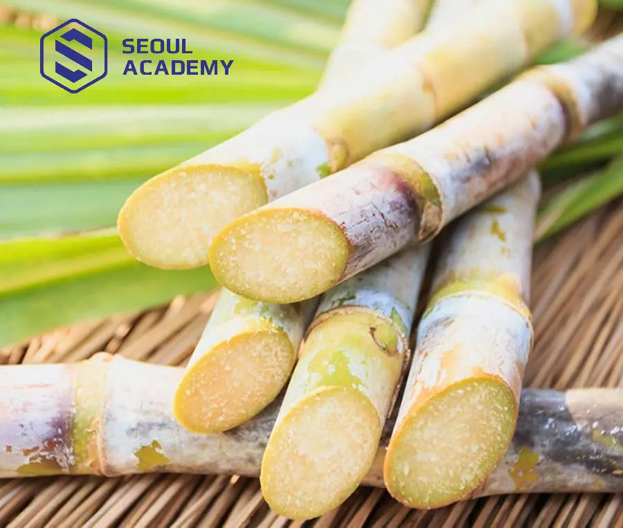 Mang mía vào phòng trang điểm là điều cần tránh