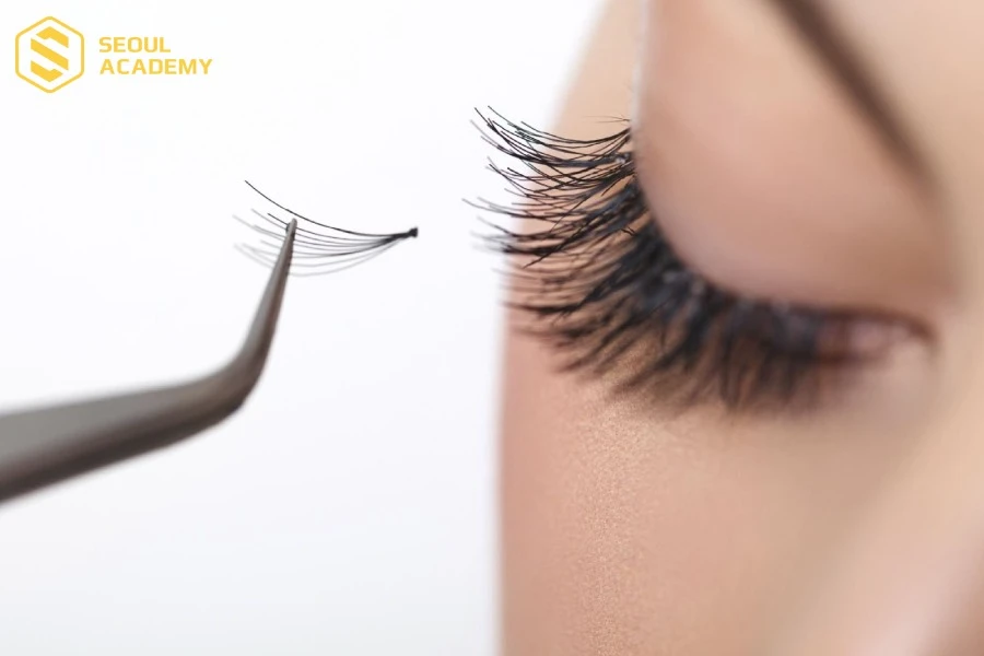 Nối mi chùm để hàng mi trông dày đẹp hơn