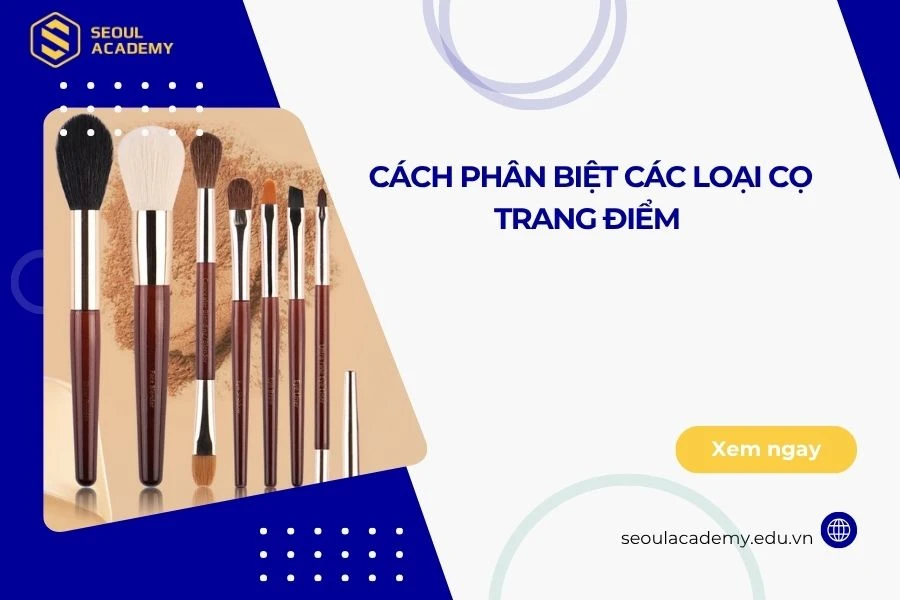 Cách phân biệt các loại cọ trang điểm phổ biến