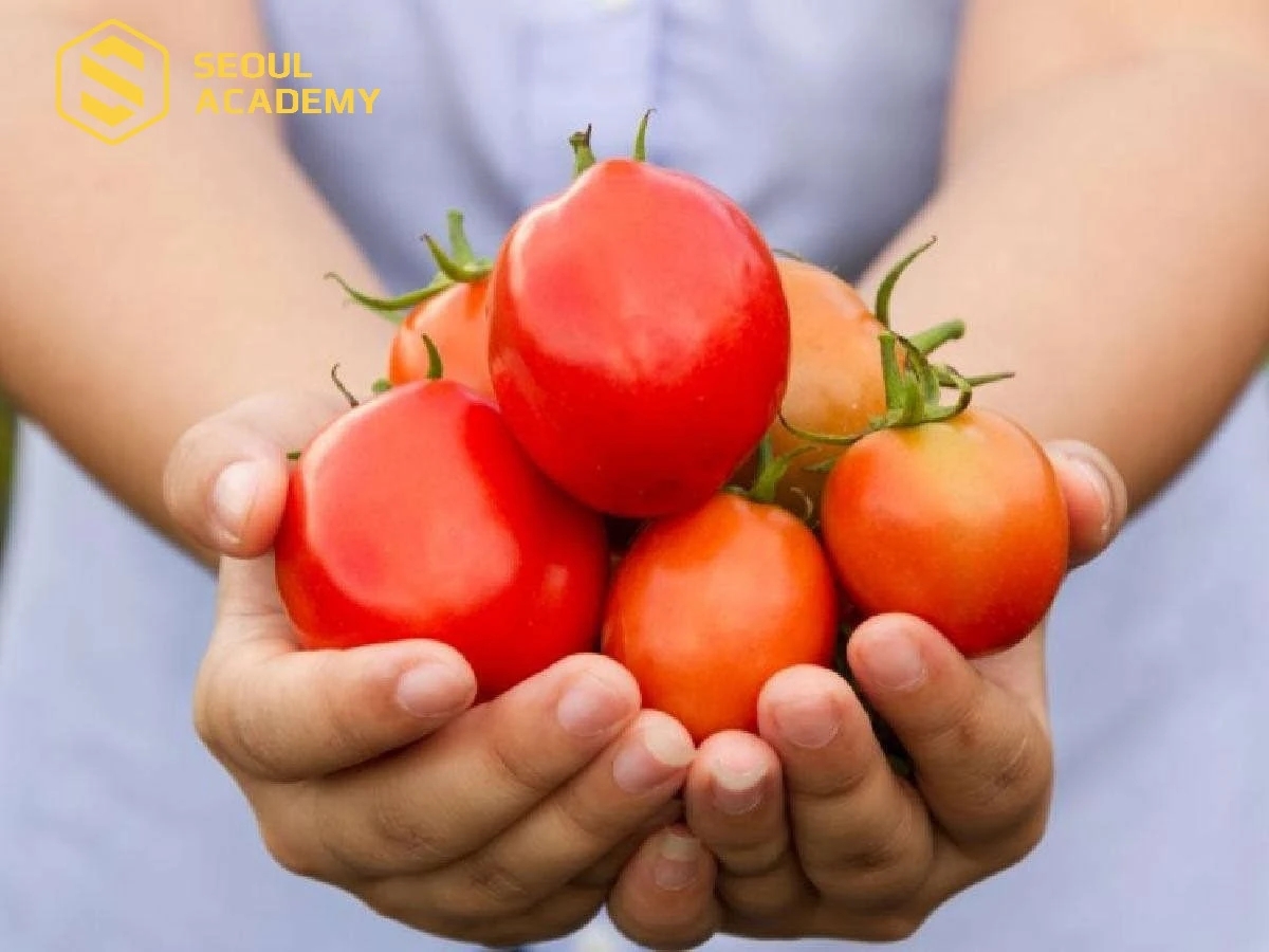 Ăn nhiều cà chua tốt cho môi mới xăm