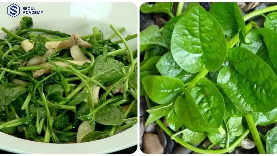 Dù là thực phẩm tốt cho sức khỏe nhưng vẫn nên đảm bảo một số lưu ý quan trọng khi ăn sau phun xăm