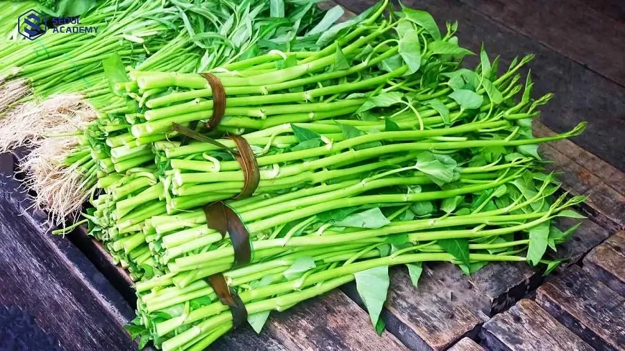 Chú ý kiêng ăn rau muống trong thời gian đầu sau khi phun xăm