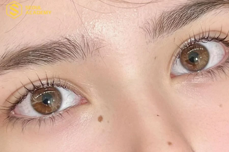 Nzim Beauty Room mang đến những bộ mi sắc sảo nhưng vẫn giữ được nét tự nhiên