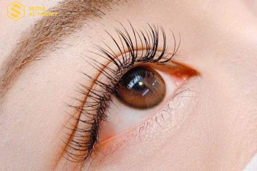 Đến ngay Hani Lash & Brow để có một bộ mi ưng ý