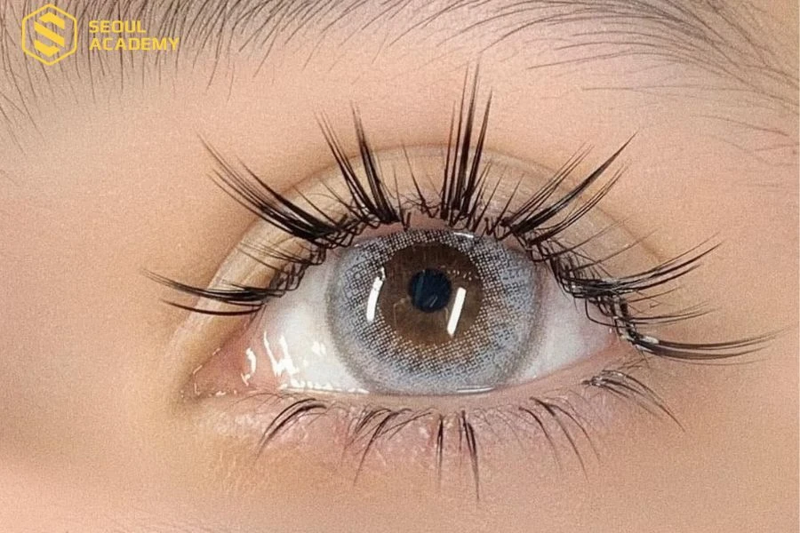 Các kiểu nối mi được ưa chuộng tại MaiLuu Lashes