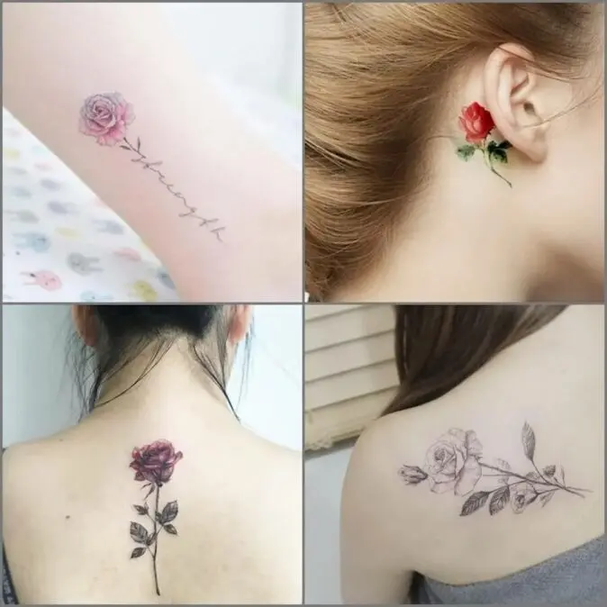 Hình ảnh hoa mẫu đơn nụ thể hiện sự e ấp, dịu dàng