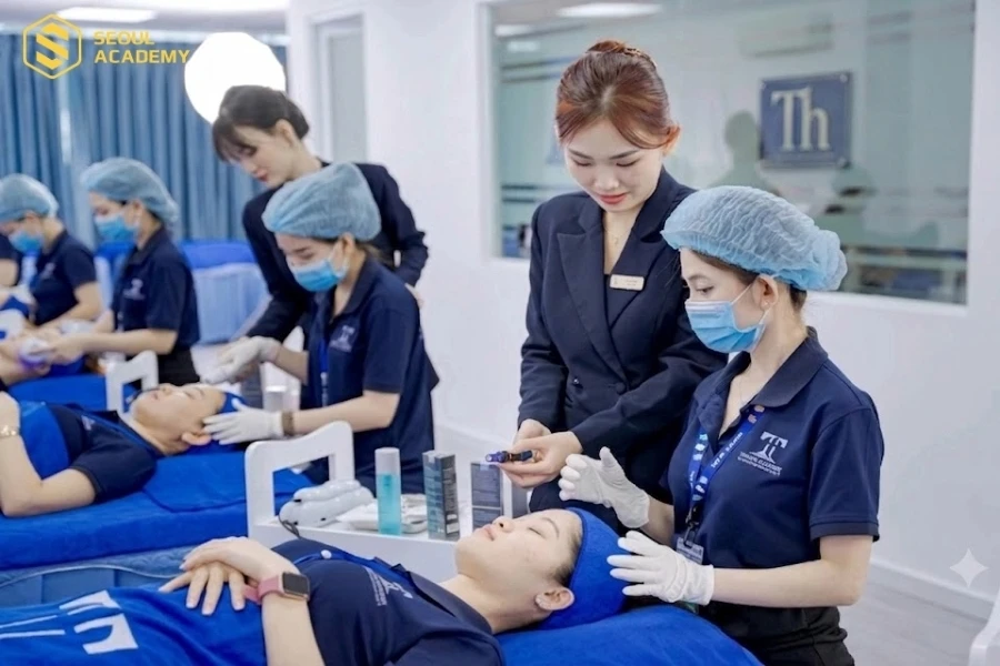Timona Academy cung cấp đa dạng các khóa học