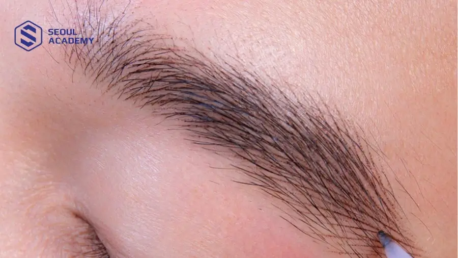 FlyBrows là kỹ thuật được nhiều địa chỉ phun xăm hiện đại ứng dụng