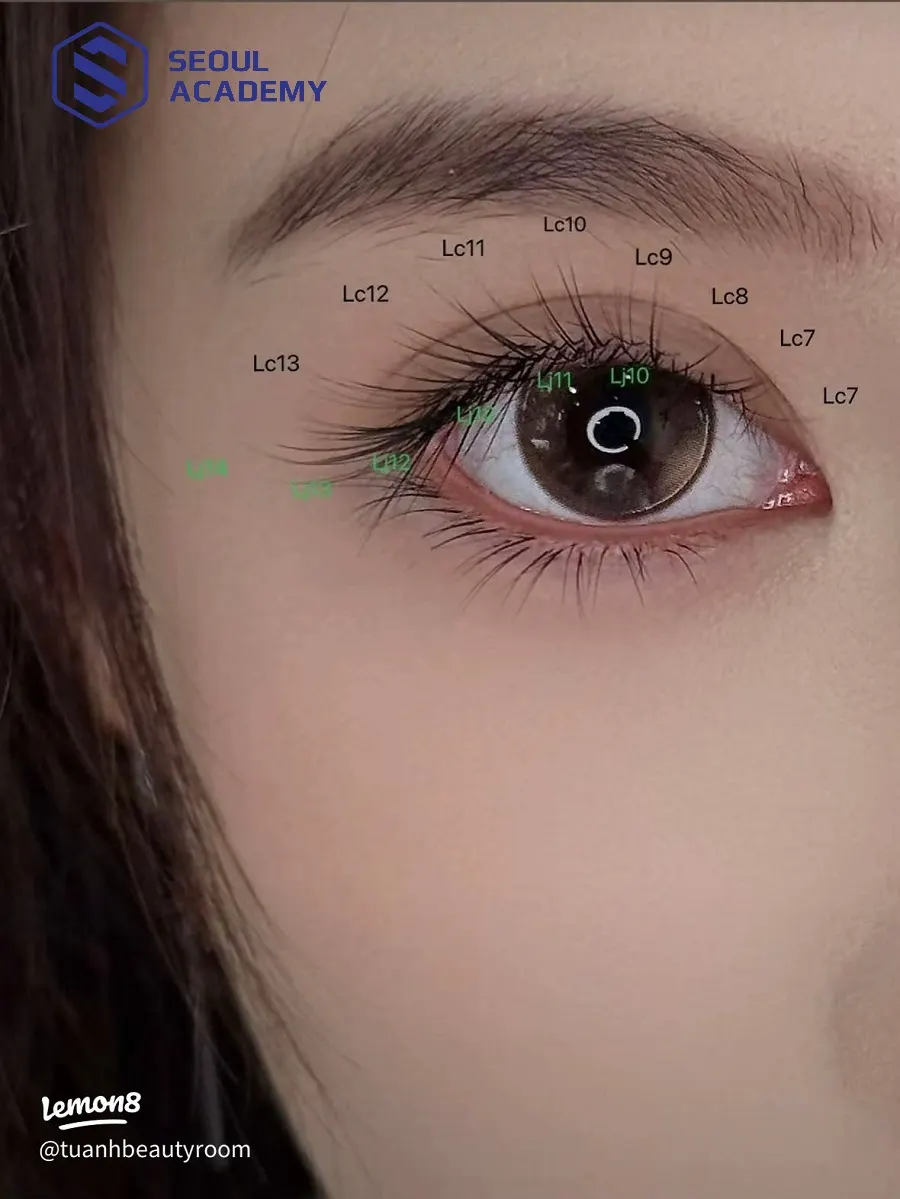 Mi đuôi cá có đặc trưng các sợi mi kéo dài về phía đuôi mắt