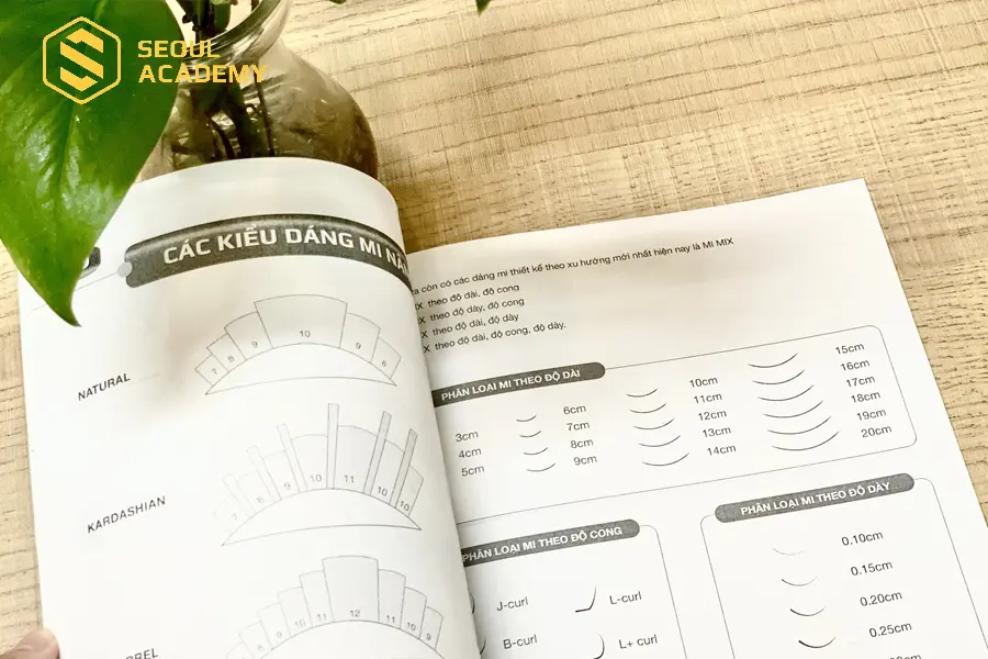 Giáo trình nối mi là nơi tổng hợp những kiến thức quan trọng