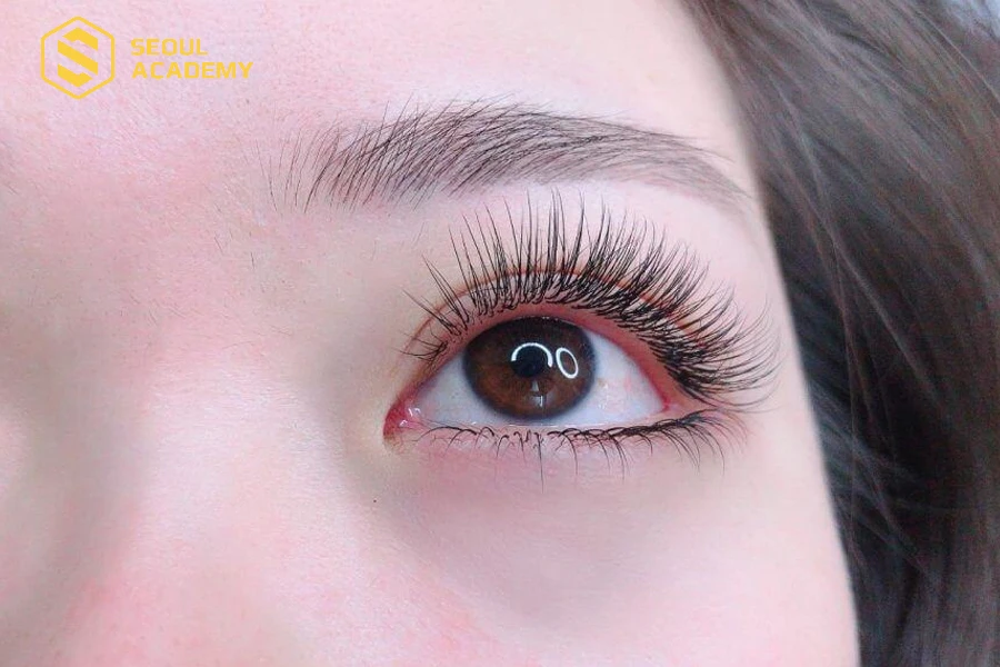 Nối mi classic là phương pháp nối mi hiện đại, an toàn