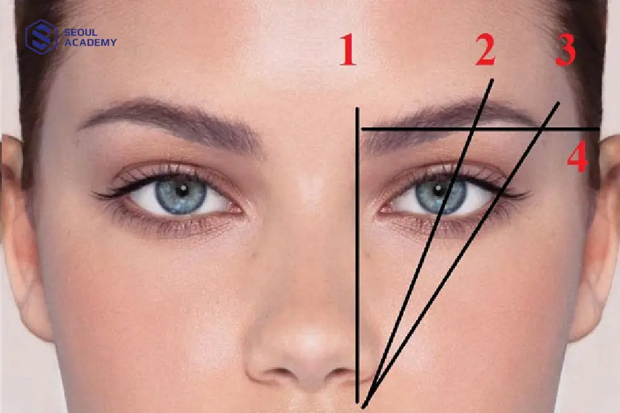 Xác định trục và các điểm trên chân mày trước khi vẽ khung