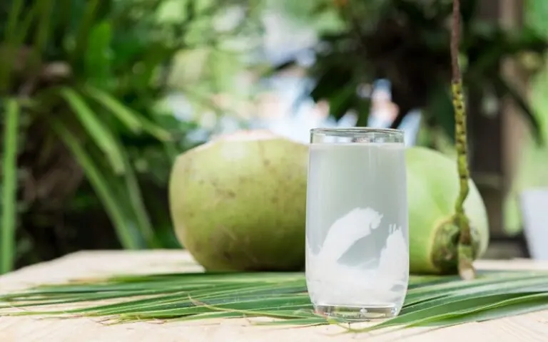 Nước dừa có nhiều chất điện giải, cấp ẩm cho môi nhanh hồi phục