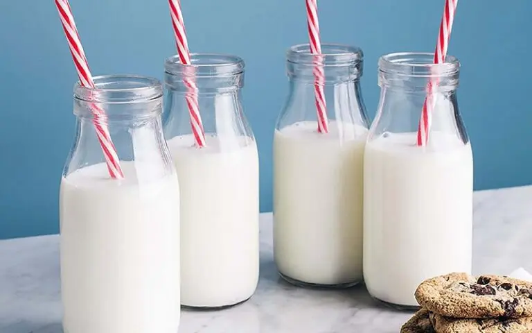 Sữa tươi chứa nhiều protein và khoáng chất tốt cho quá trình hồi phục môi