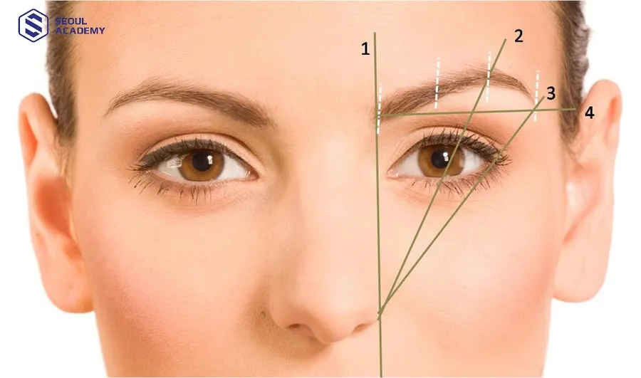 Đánh dấu các điểm quan trọng trên chân mày