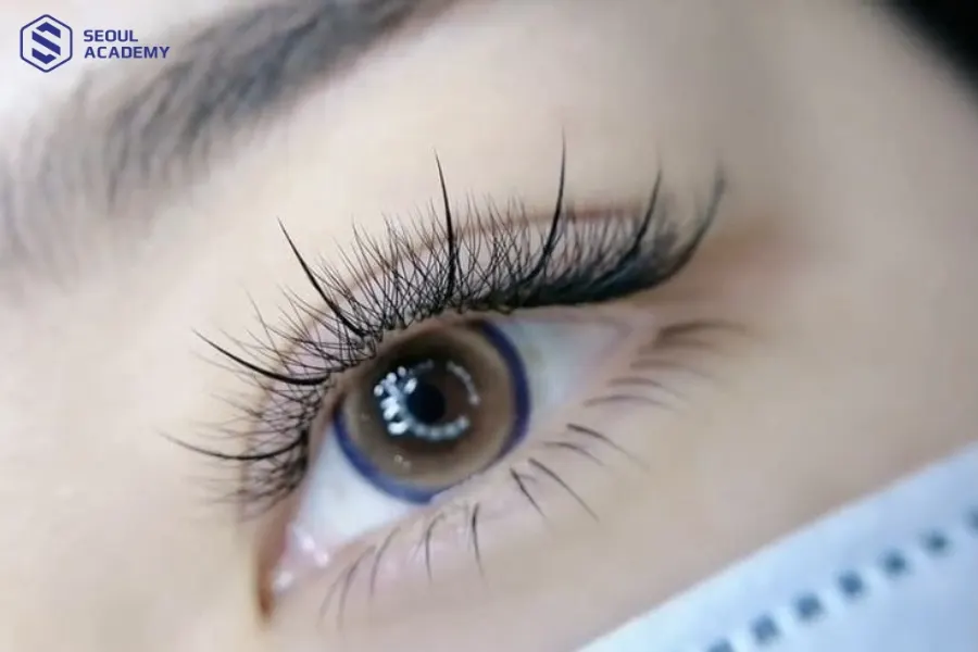 Nối mi Katun giúp tổng thể khuôn mặt trông hài hòa và sắc sảo hơn