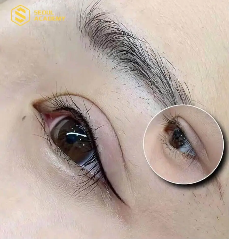 Phun mí có phần đuôi lượn nhẹ nhàng, tự nhiên