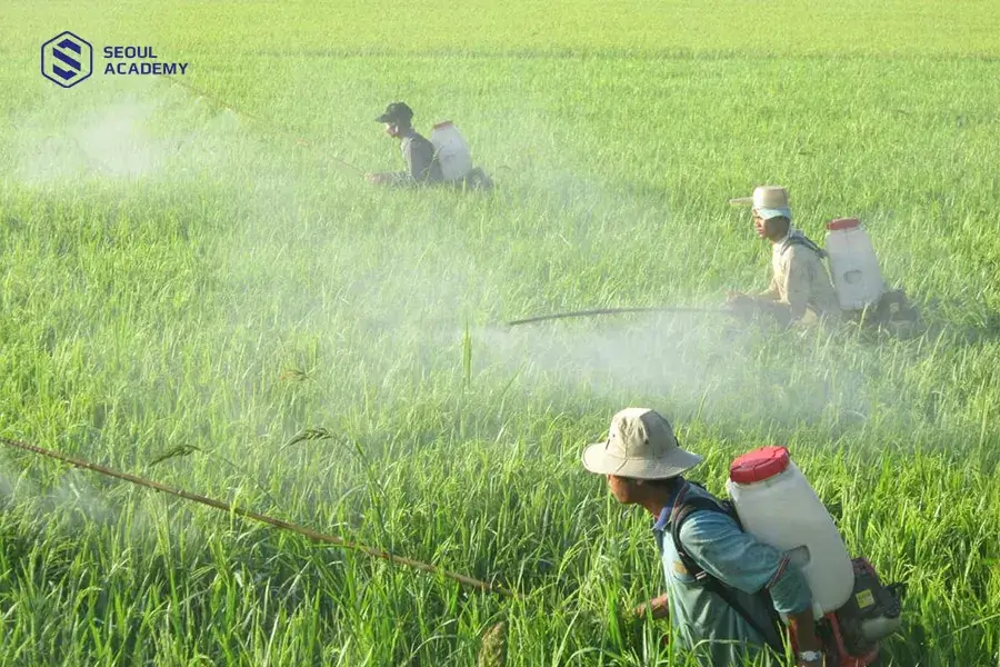 Không đeo đồ bảo hộ là nguyên nhân thuốc trừ sâu dính vào da