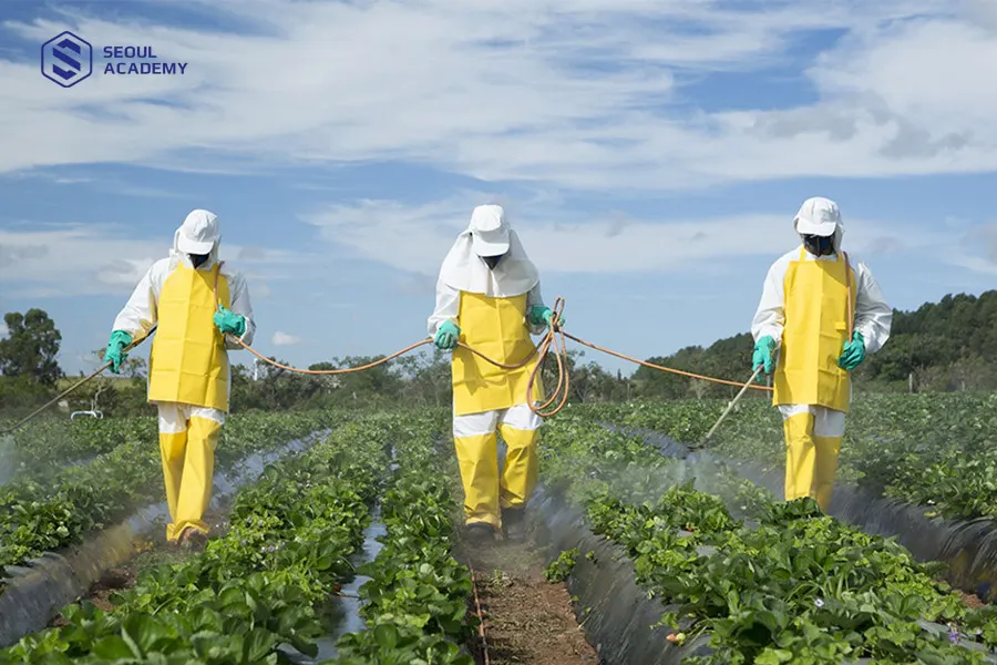 Mặc đồ bảo hộ đầy đủ là cách phòng tránh thuốc trừ sâu dính vào da