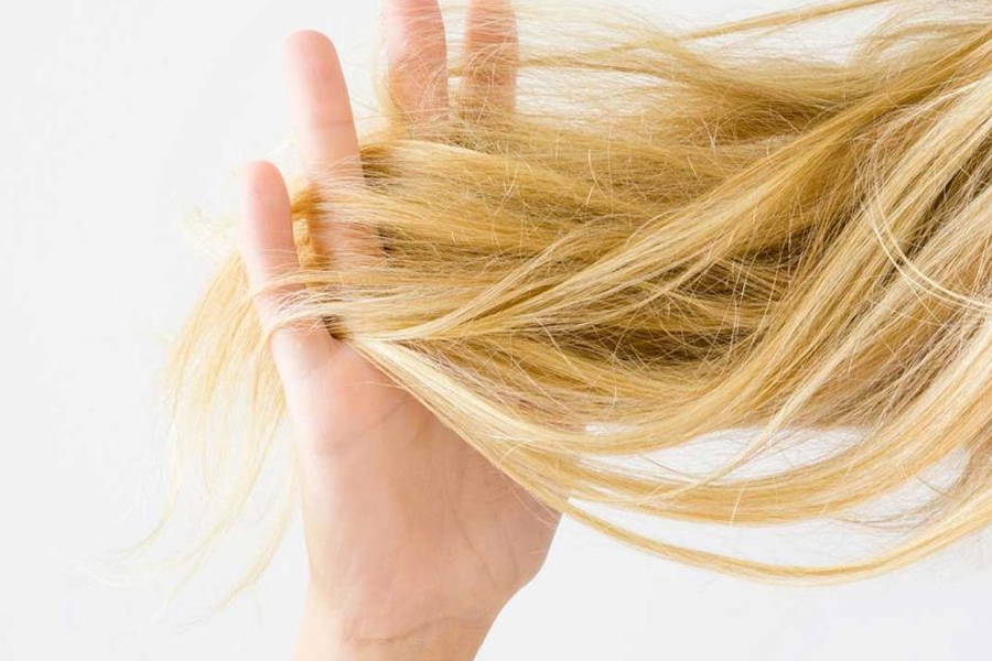 Dù đang ở mức độ nào thì bạn cũng nên giữ thói quen chăm sóc tóc để tránh khô xơ và chẻ ngọn