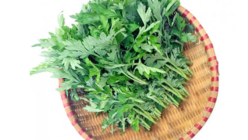 Bài thuốc trị nám da mặt với cây ngải cứu