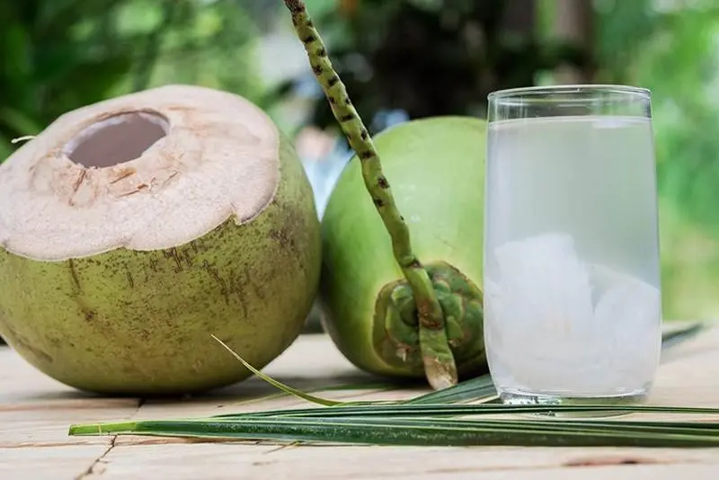 Nước dừa chứa nhiều khoáng chất có lợi, nhưng cần uống đúng thời điểm sau khi xăm môi để đạt hiệu quả tốt nhất