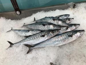 Cắt mí có được ăn cá biển không?