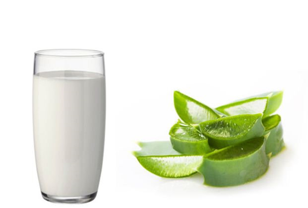 Sữa tươi kết hợp với nha đam bật tone da trắng hồng