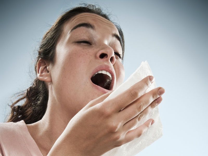 Hắt xì hơi một hay nhiều cái mang ý nghĩa khác nhau Hắt xì hơi một hay nhiều cái mang ý nghĩa khác nhau