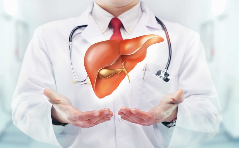 Gan đảm nhiệm vai trò quan trọng trong cơ thể