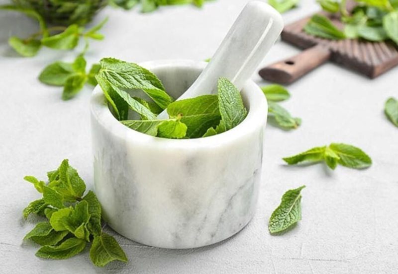 Bộ đôi hoàn hảo sữa chua và lá bạc hà giúp da trắng lên rõ rệt