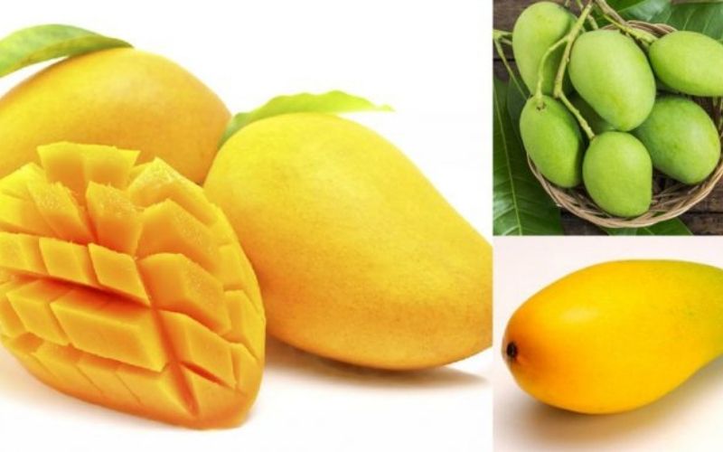 Lượng calo trong xoài xanh, xoài chín bao nhiêu?