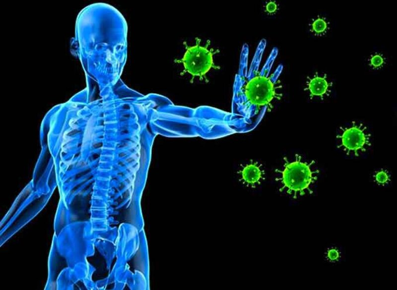 Bí đỏ giúp hệ miễn dịch hoạt động hiệu quả, giảm cảm cúm