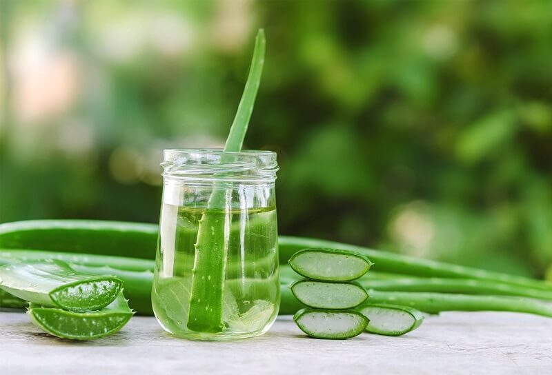 Nha đam có khả năng làm mềm da và điều trị sẹo lồi trên mũi