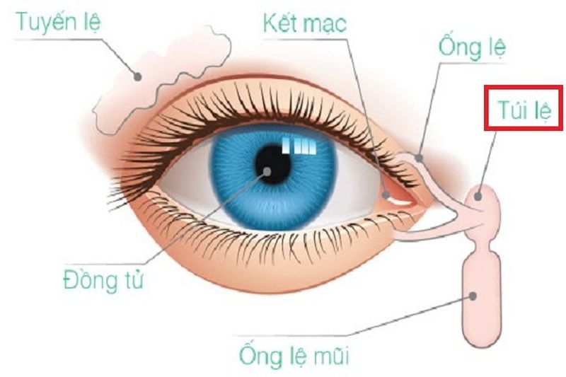 Ống lệ là nơi thoát nước mắt đảm bảo đôi mắt không bị khô