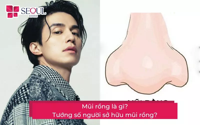 Mũi rồng là gì? Vận mệnh người sở hữu tướng mũi rồng