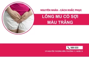 Lông mu có sợi màu trắng