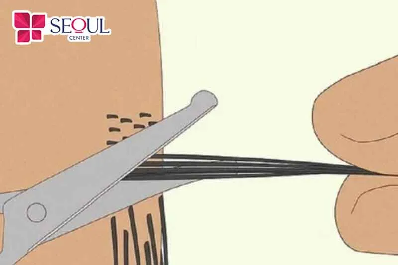 Nếu bạn muốn xử lý lông an toàn vào ngày hành kinh thì có thể chọn cắt tỉa lông bằng kéo
