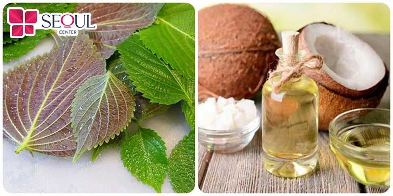 Giảm mụn, giảm bong tróc nhờ mặt nạ tía tô và dầu dừa