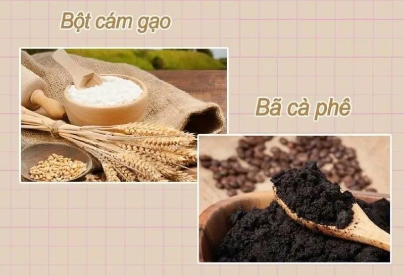 Kết hợp bột cám gạo cùng bã cà phê nguyên chất để mang lại làn da sáng mịn và săn chắc hơn.