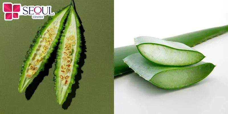 Sử dụng khổ qua và nha đam trộn với nhau sẽ tạo thành hỗn hợp làm trắng da vượt trội 
