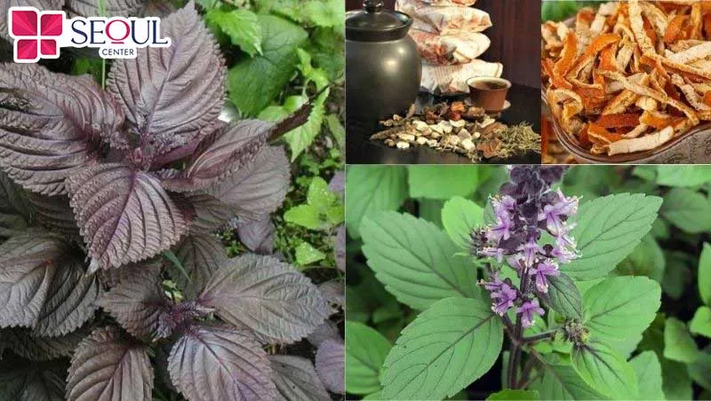 Bộ ba nguyên liệu hoắc hương, trần bì, lá tía tô mang lại làn da mịn màng, trắng hồng 