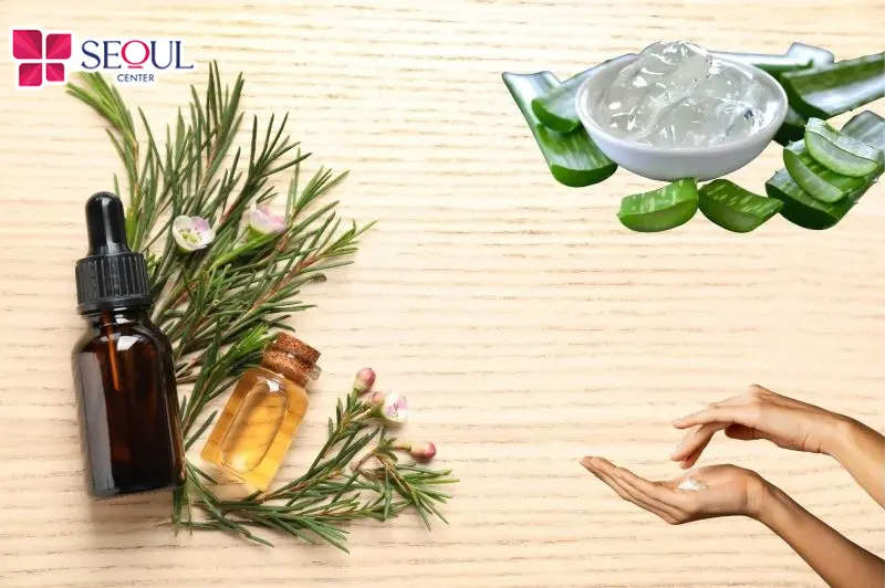 Thoa nha đam và dầu tràm trà có thể dịu da bị mẩn đỏ