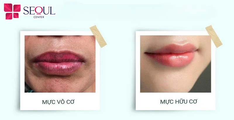 Sự khác biệt của mực hữu cơ và mực vô cơ