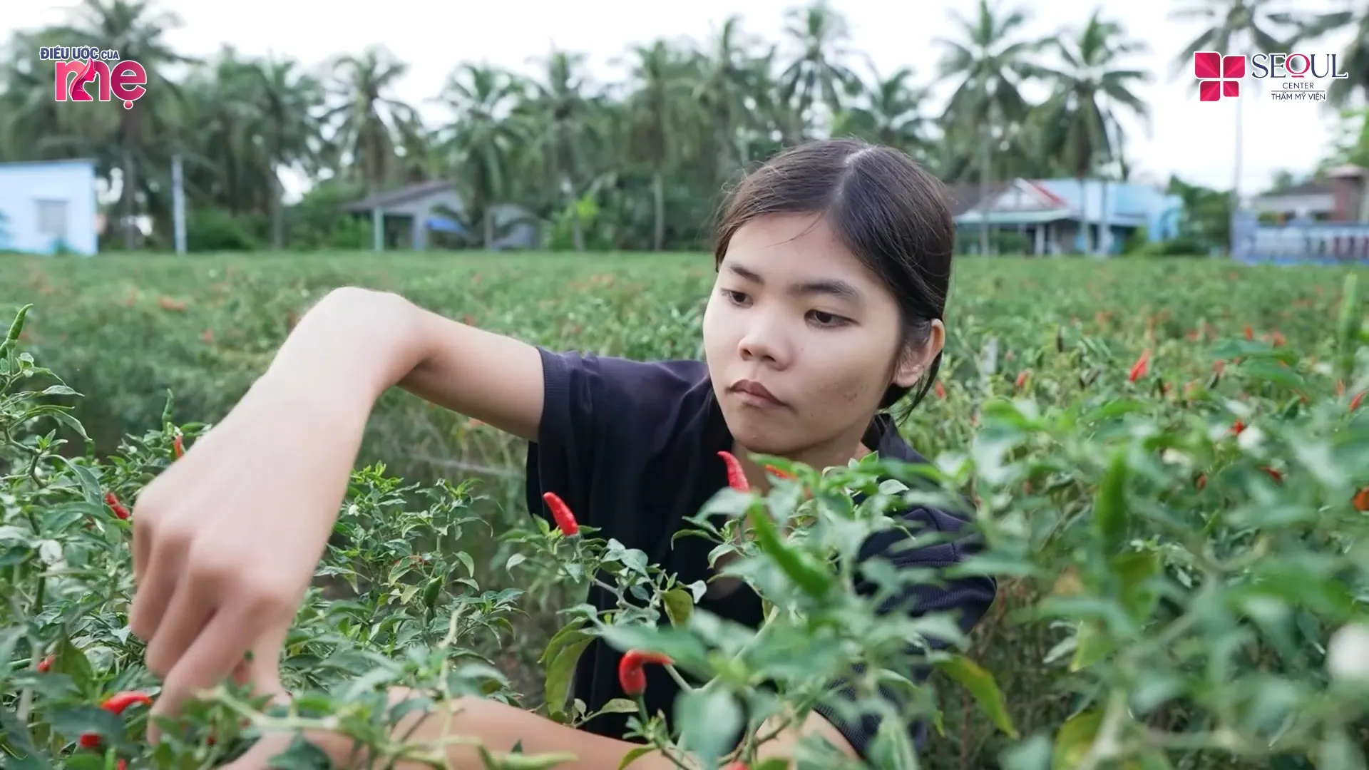 Em Võ Ngọc Bảo Ngân làm đủ công việc với hi vọng có tiền trang trải cuộc sống, nuôi mẹ và cháu