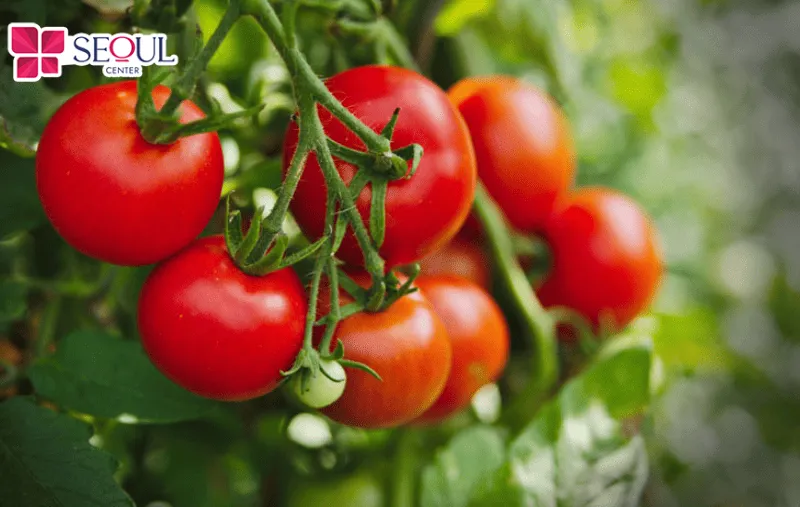 Cà chua có giàu dưỡng chất nuôi dưỡng da, làm sáng da và đặc biệt là làm mềm nang lông, khiến chúng dễ rụng