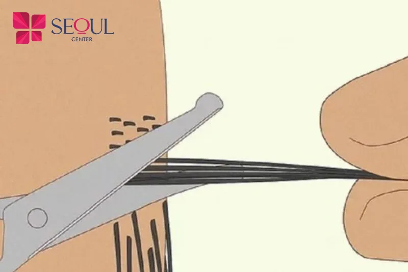 Dùng kéo cắt tỉa là phương pháp tiện lợi và dễ thực hiện ngay tại nhà